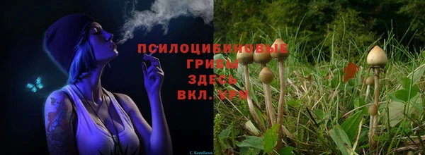 мет Арсеньев