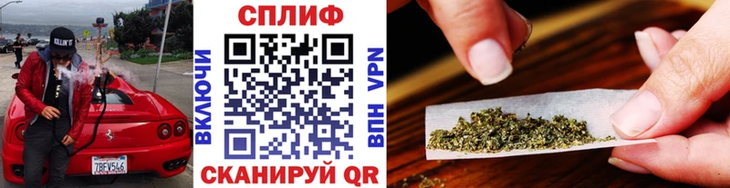 ссылка на мегу как зайти  Полярные Зори  Каннабис тримм 